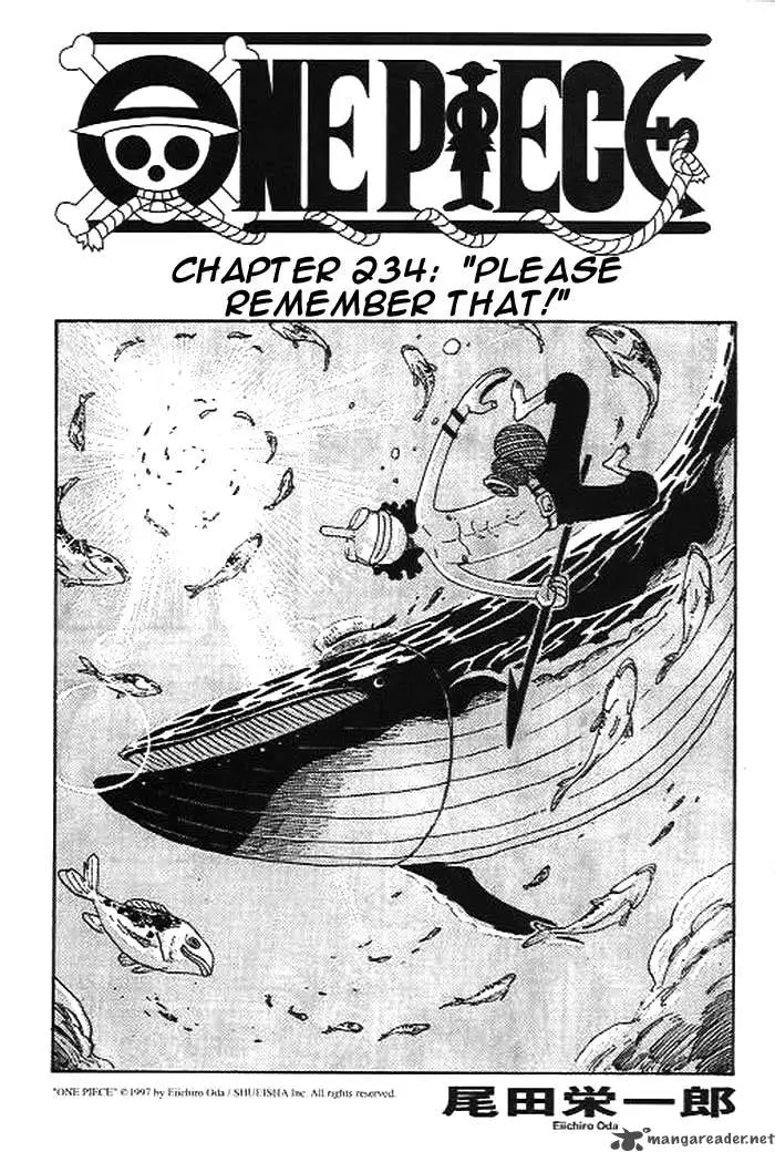 Chapter 234