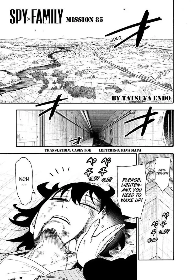 Chapter 85