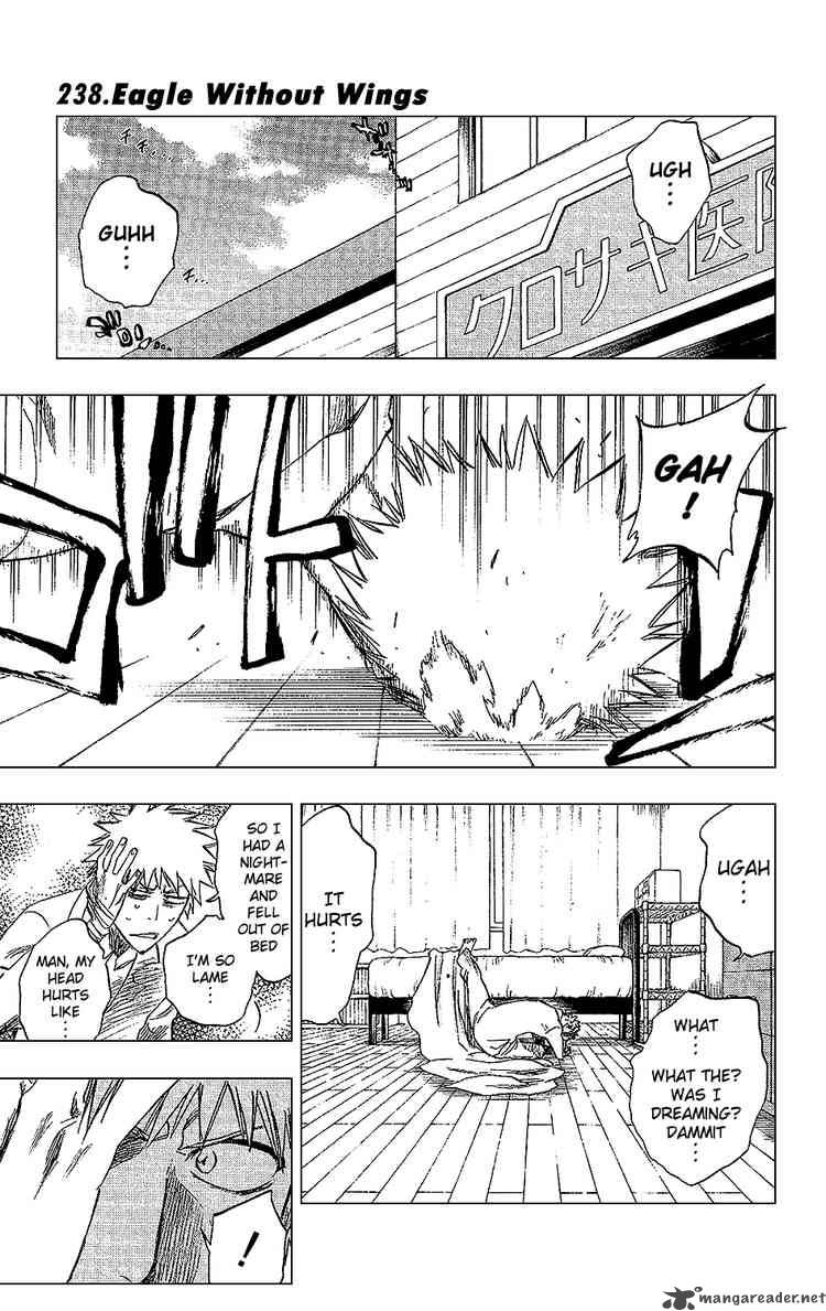 Chapter 238