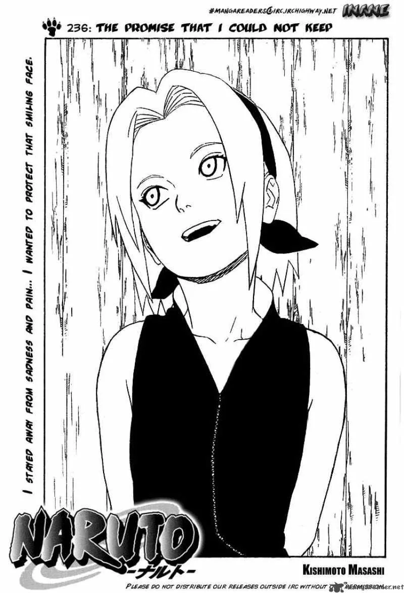 Chapter 236