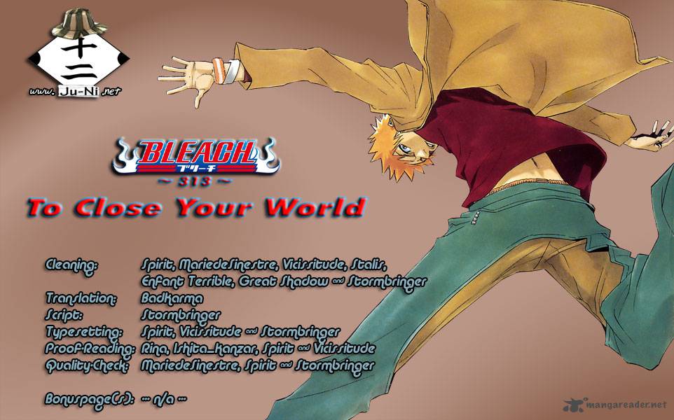 Chapter 313