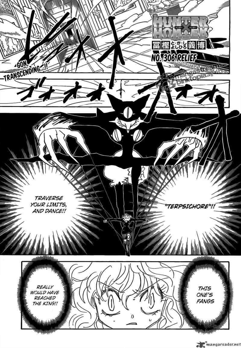 Chapter 306