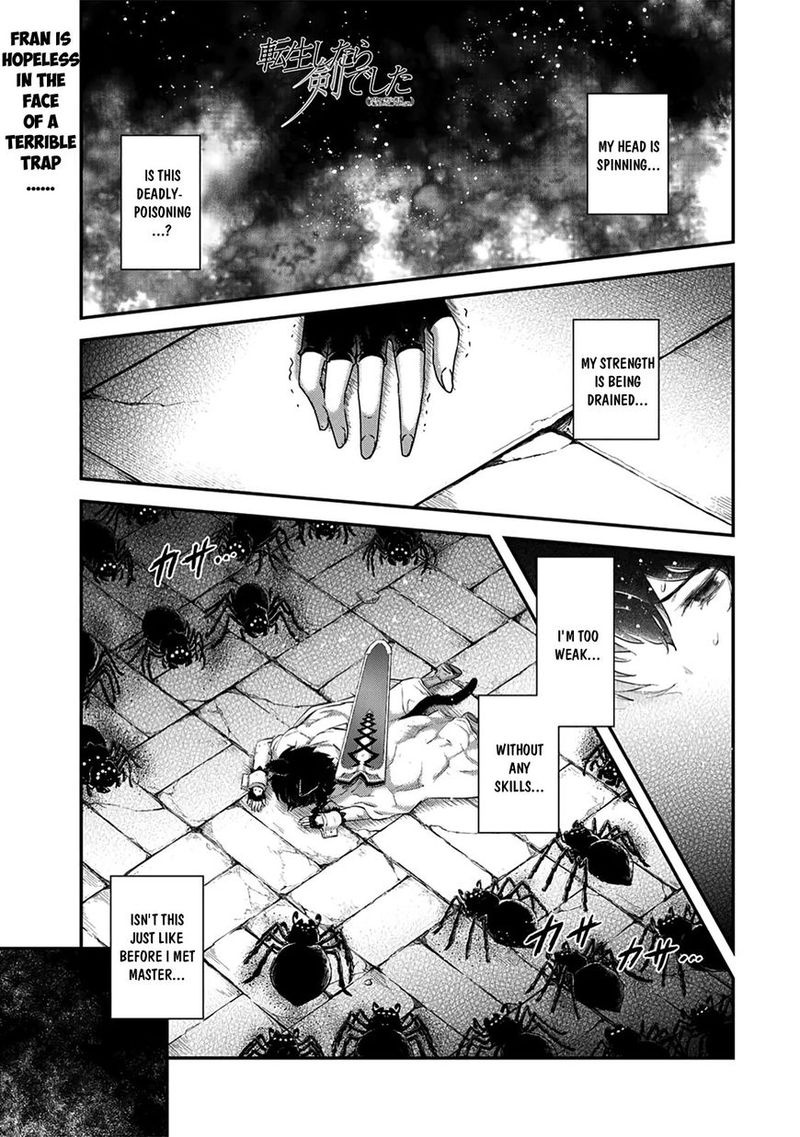Chapter 23