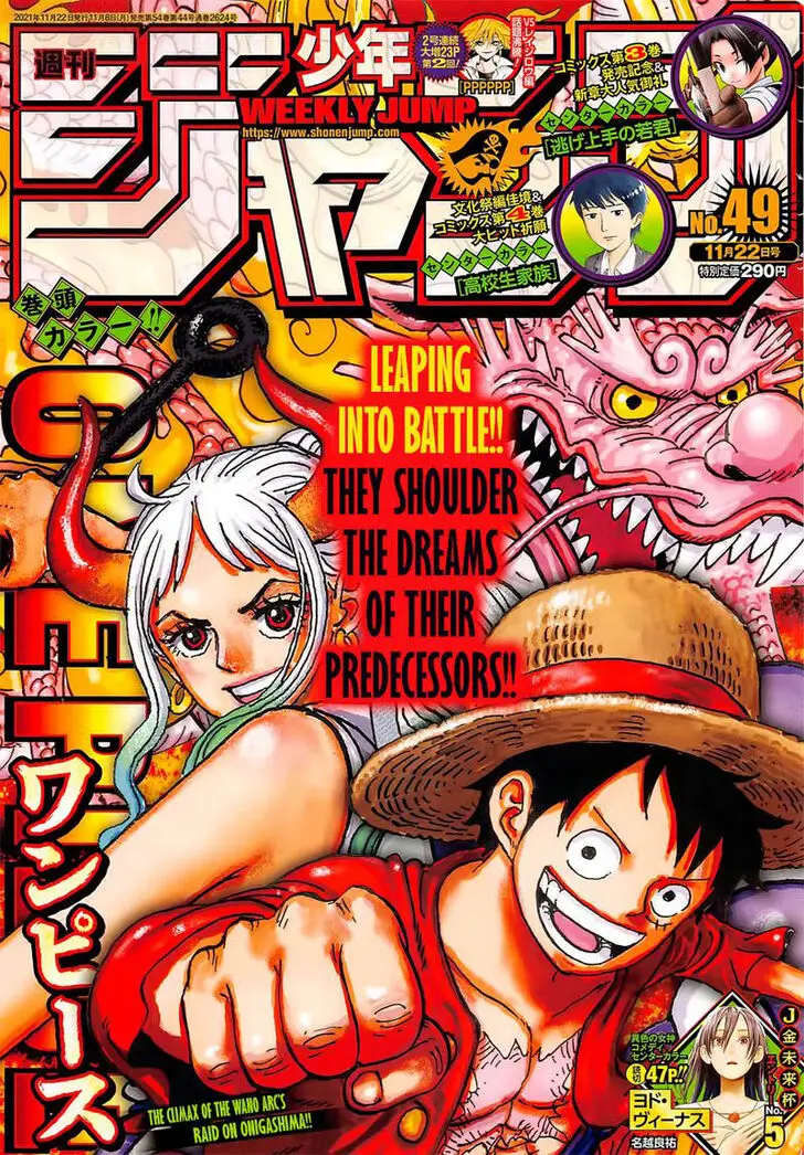 Chapter 1031