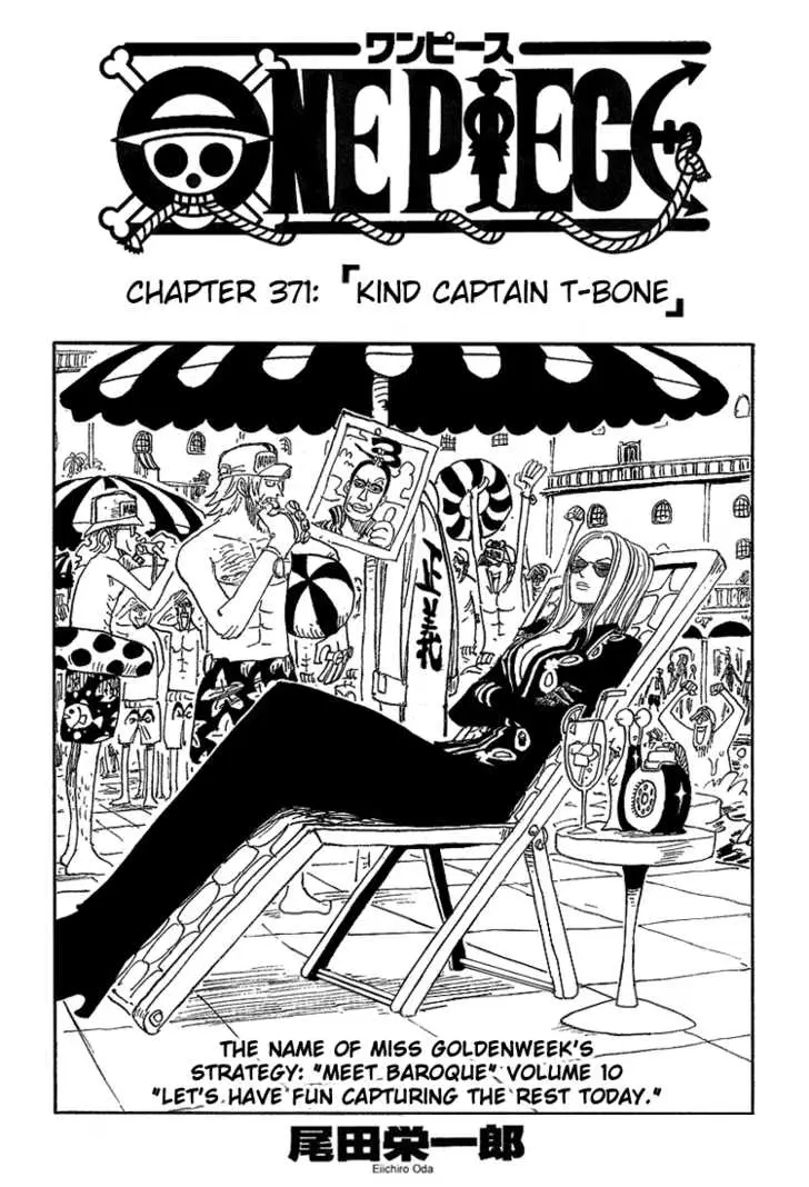 Chapter 371