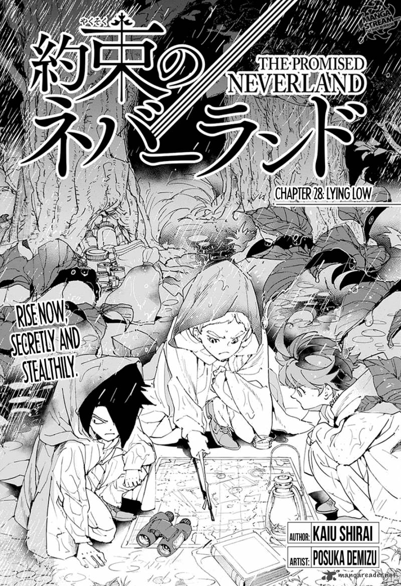 Chapter 28