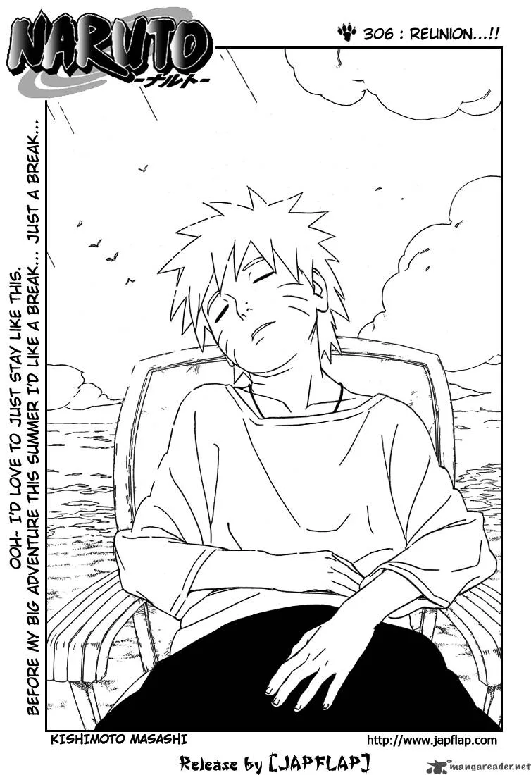 Chapter 306