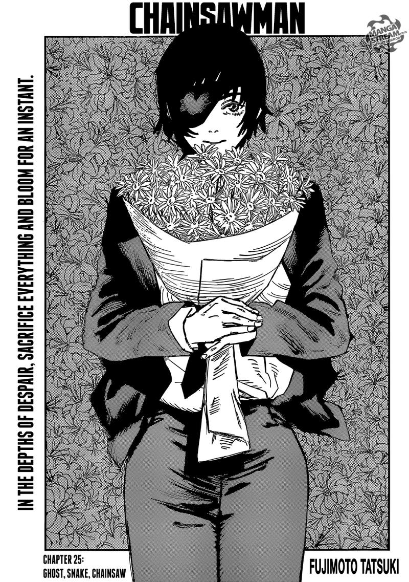Chapter 25