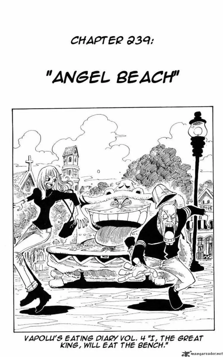 Chapter 239