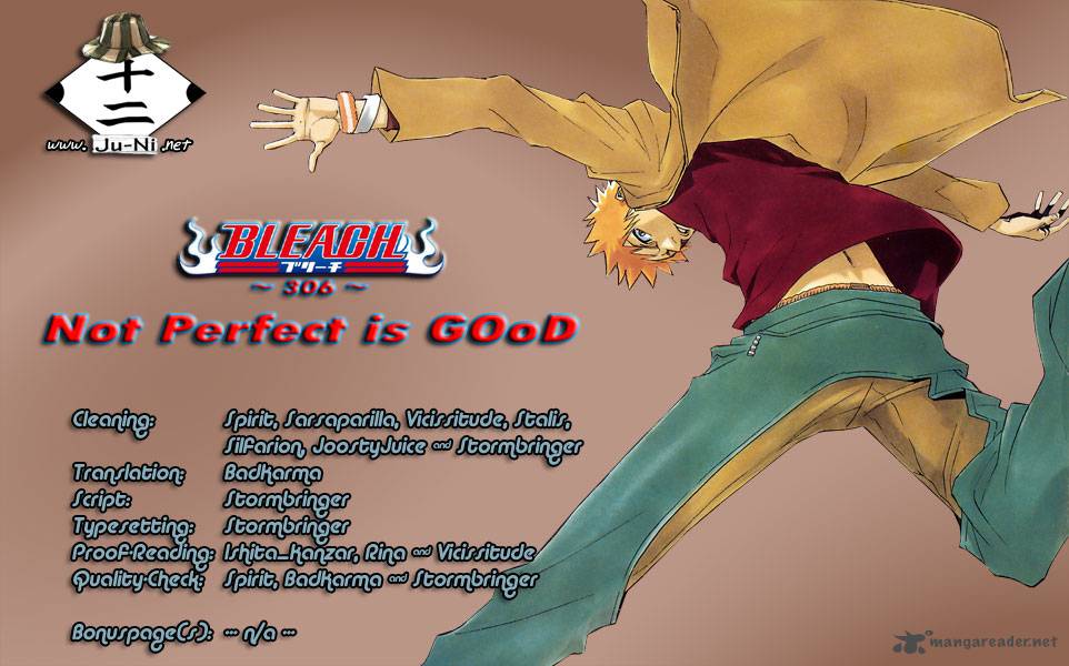 Chapter 306