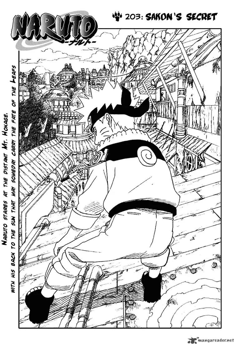 Chapter 203