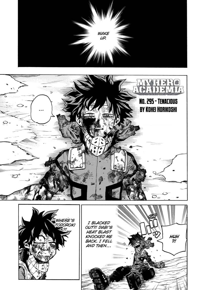 Chapter 295