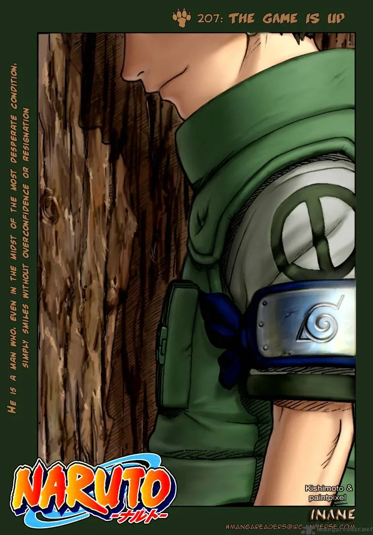 Chapter 207