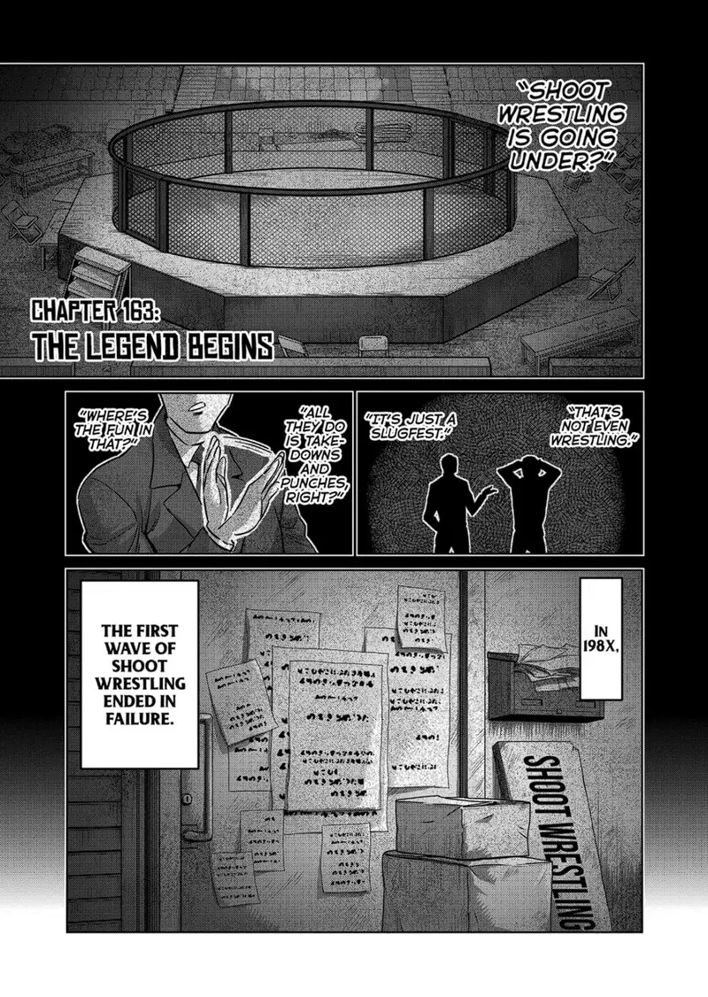 Chapter 163