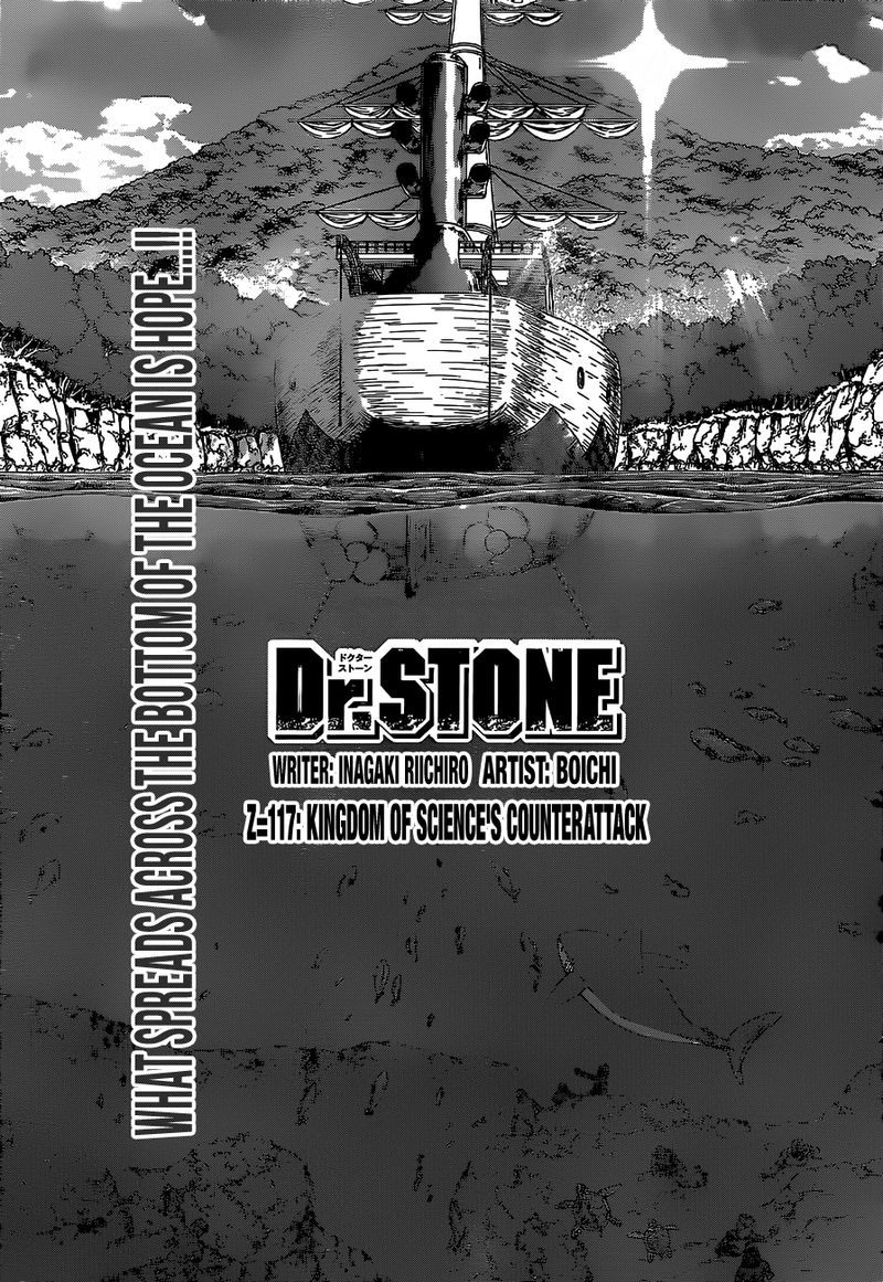 Chapter 117