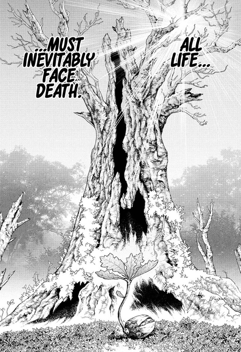 Chapter 230