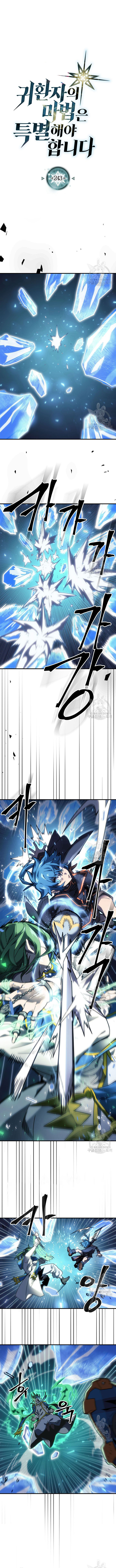 Chapter 243
