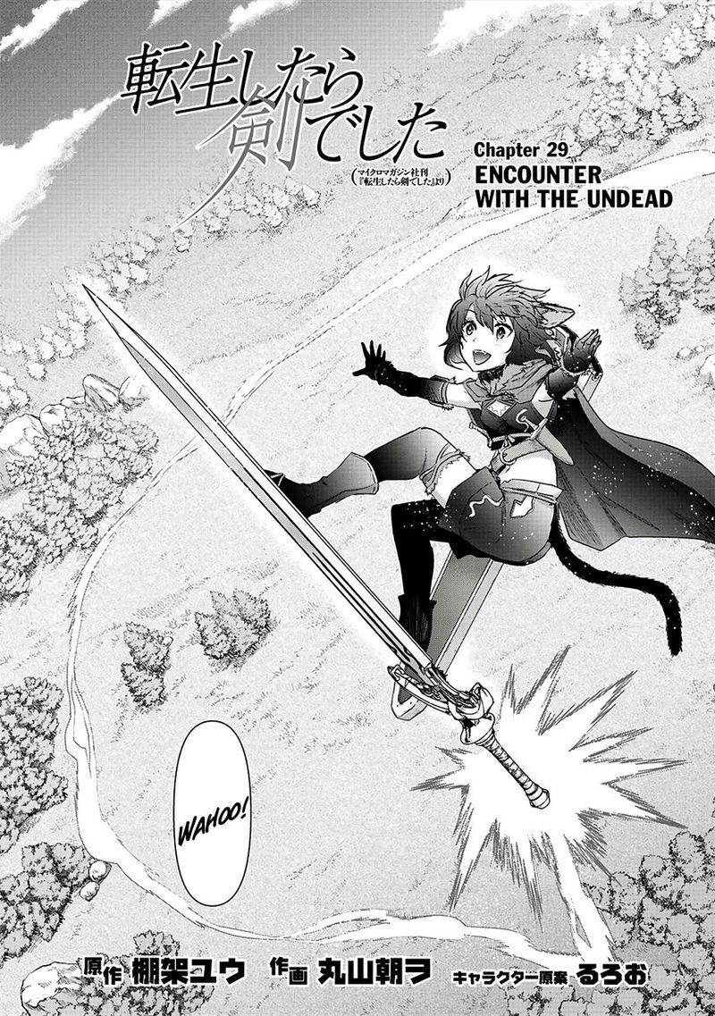 Chapter 29
