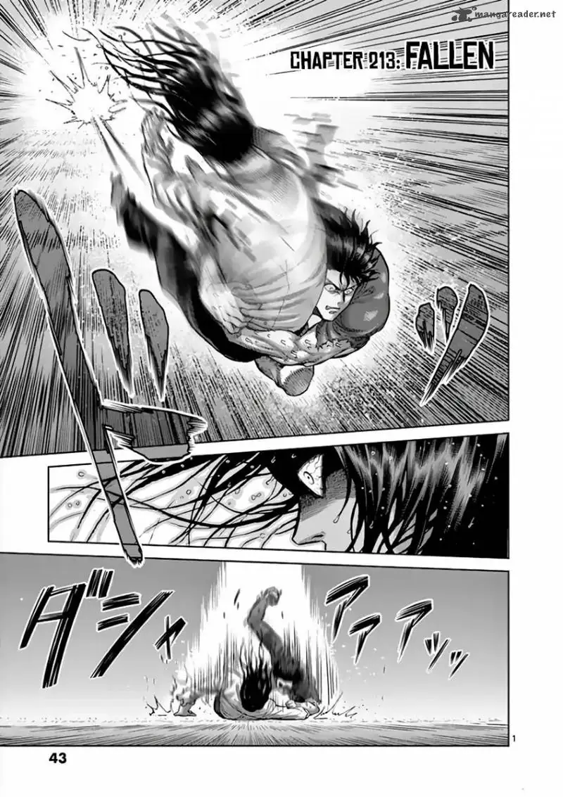 Chapter 213
