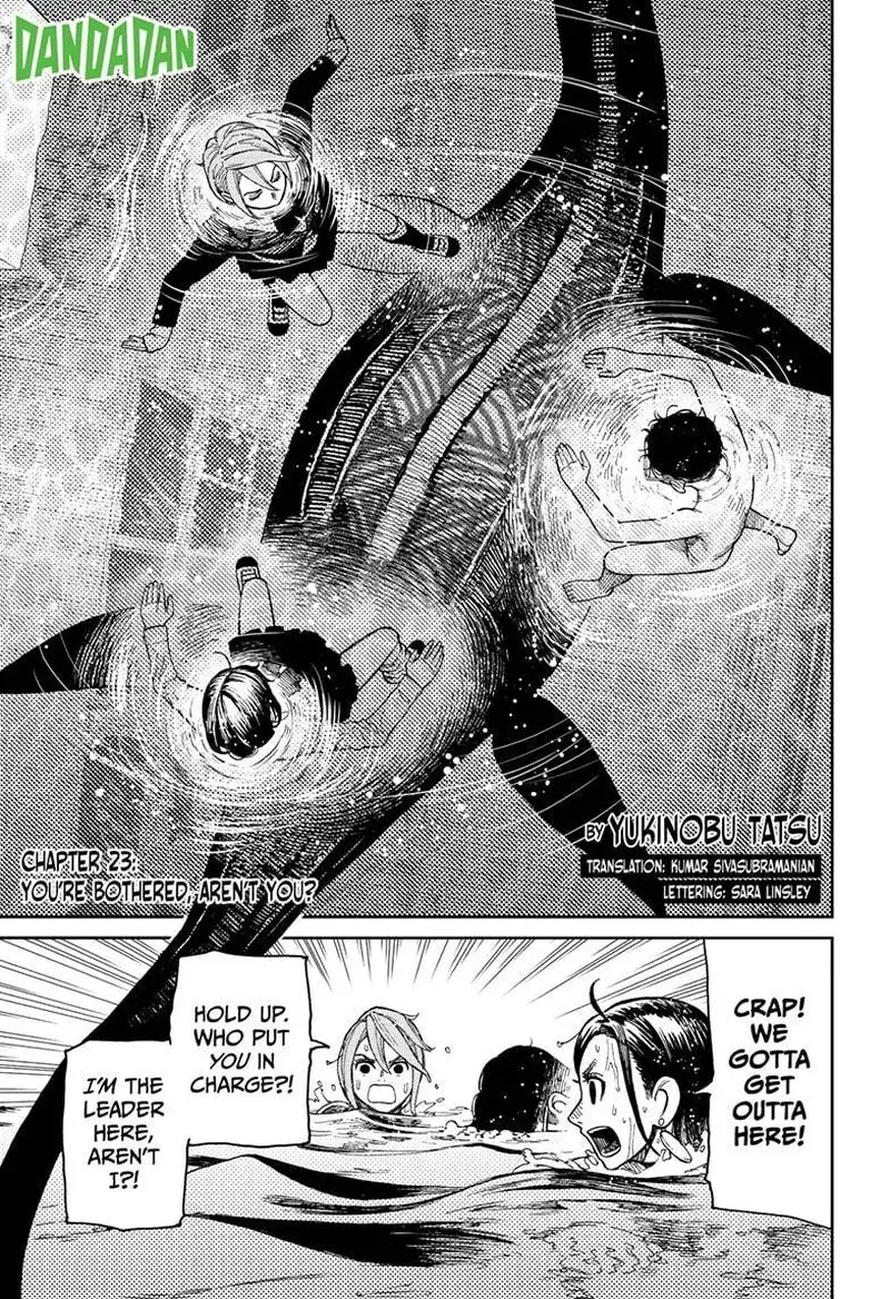 Chapter 23