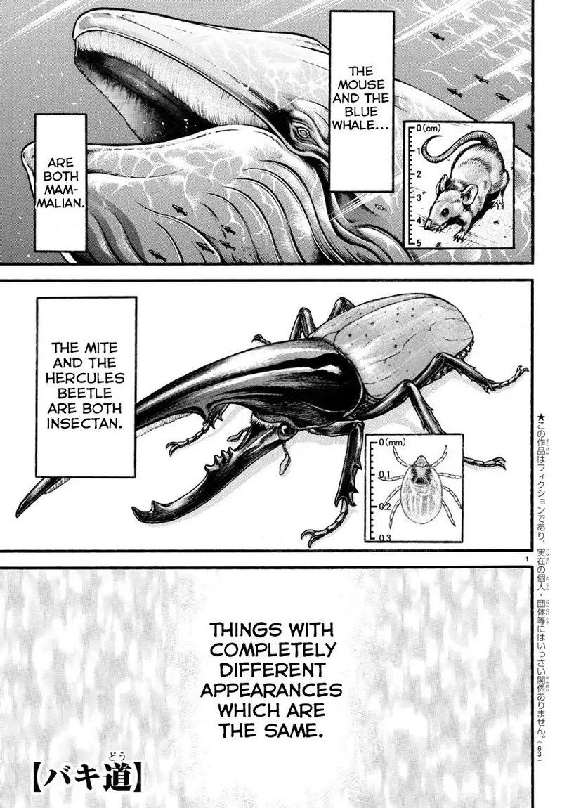 Chapter 17