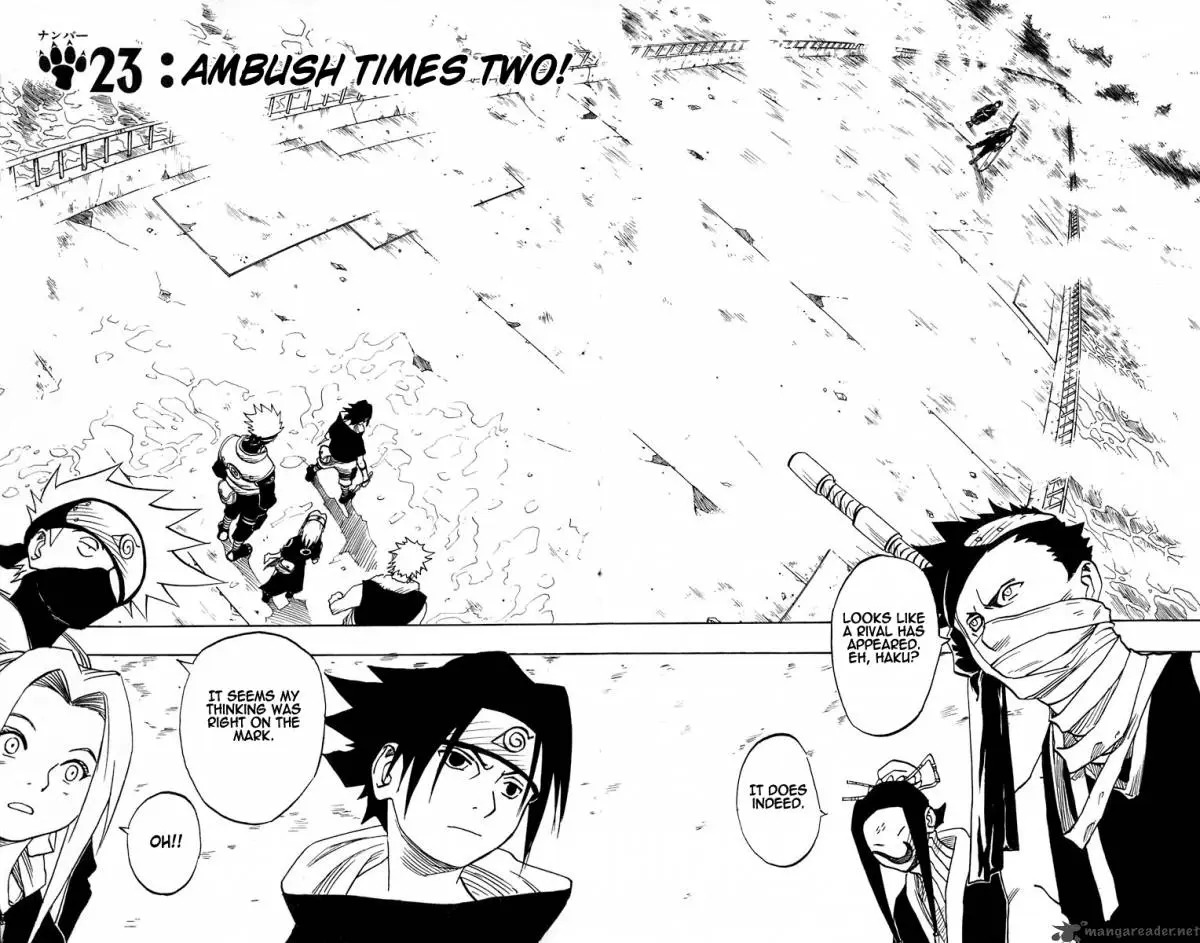 Chapter 23