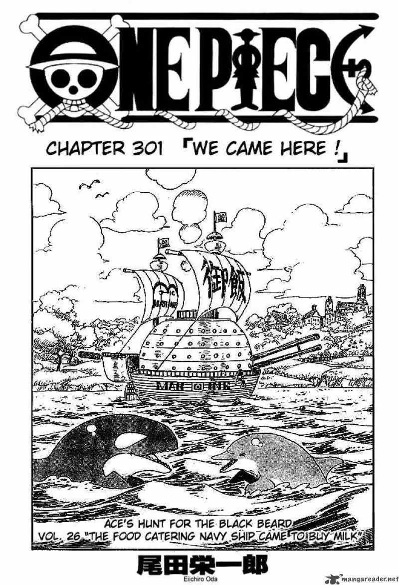 Chapter 301