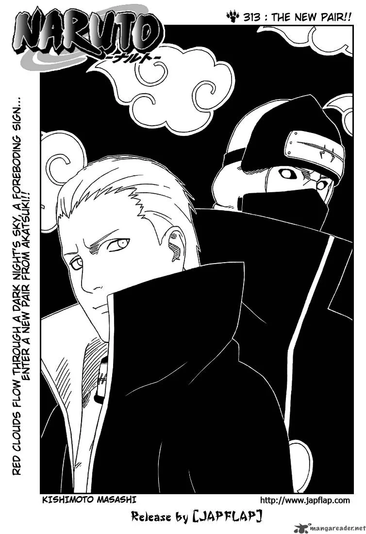 Chapter 313