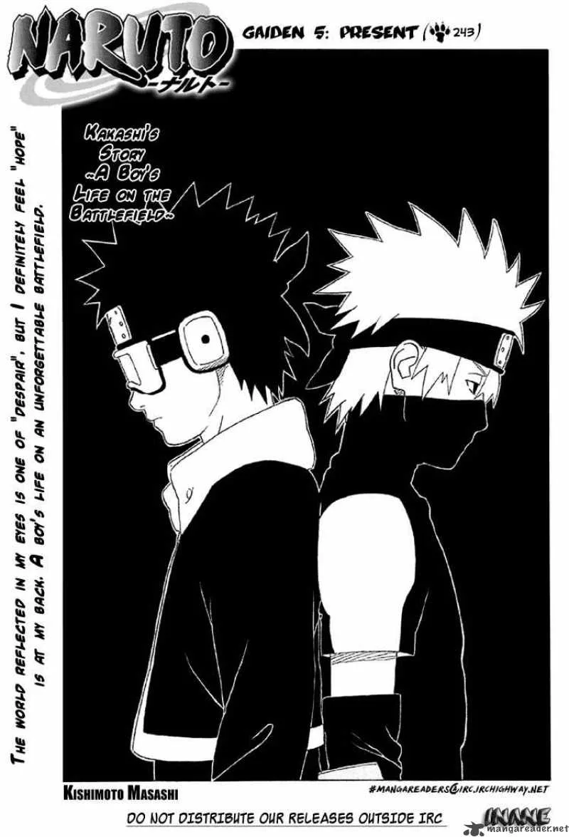 Chapter 243