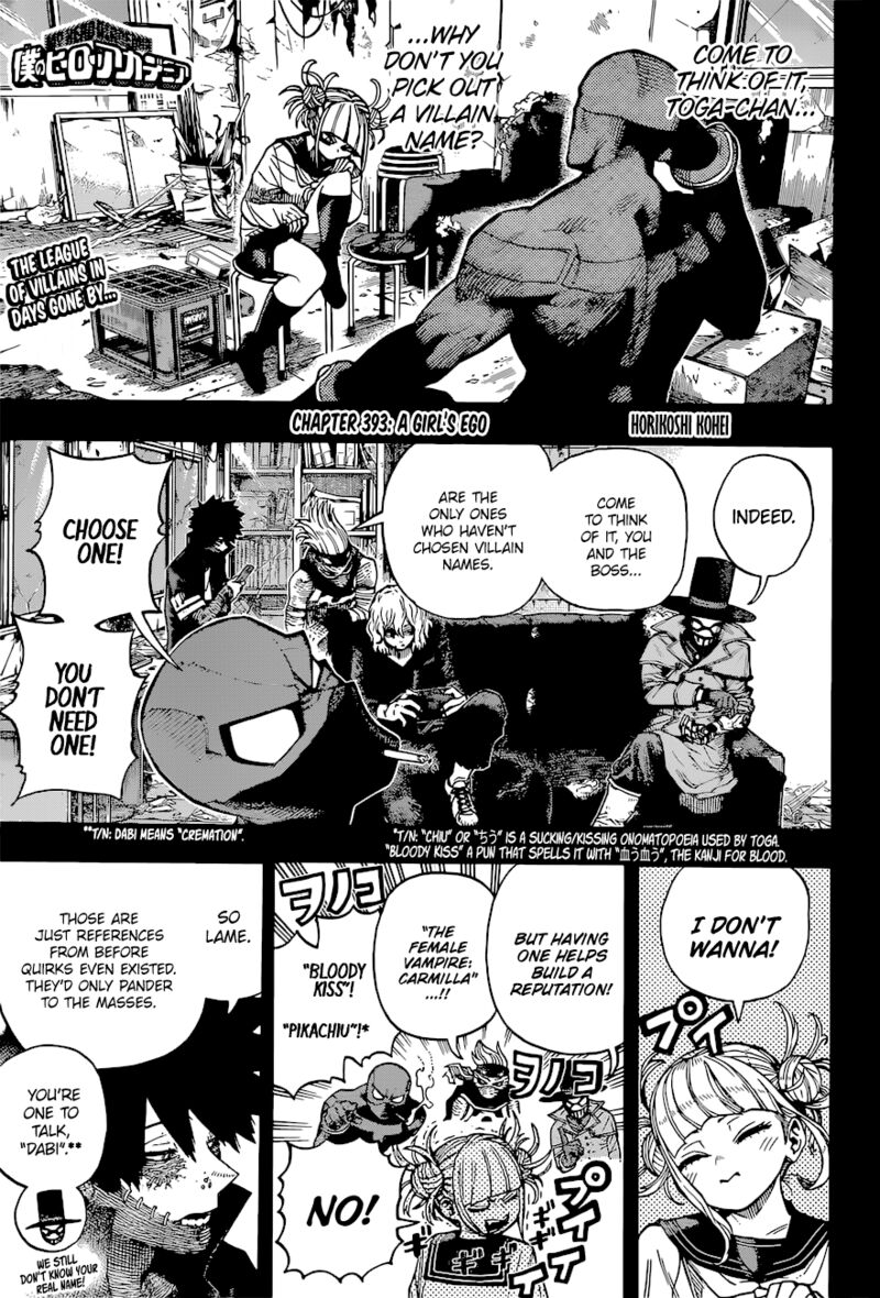 Chapter 393