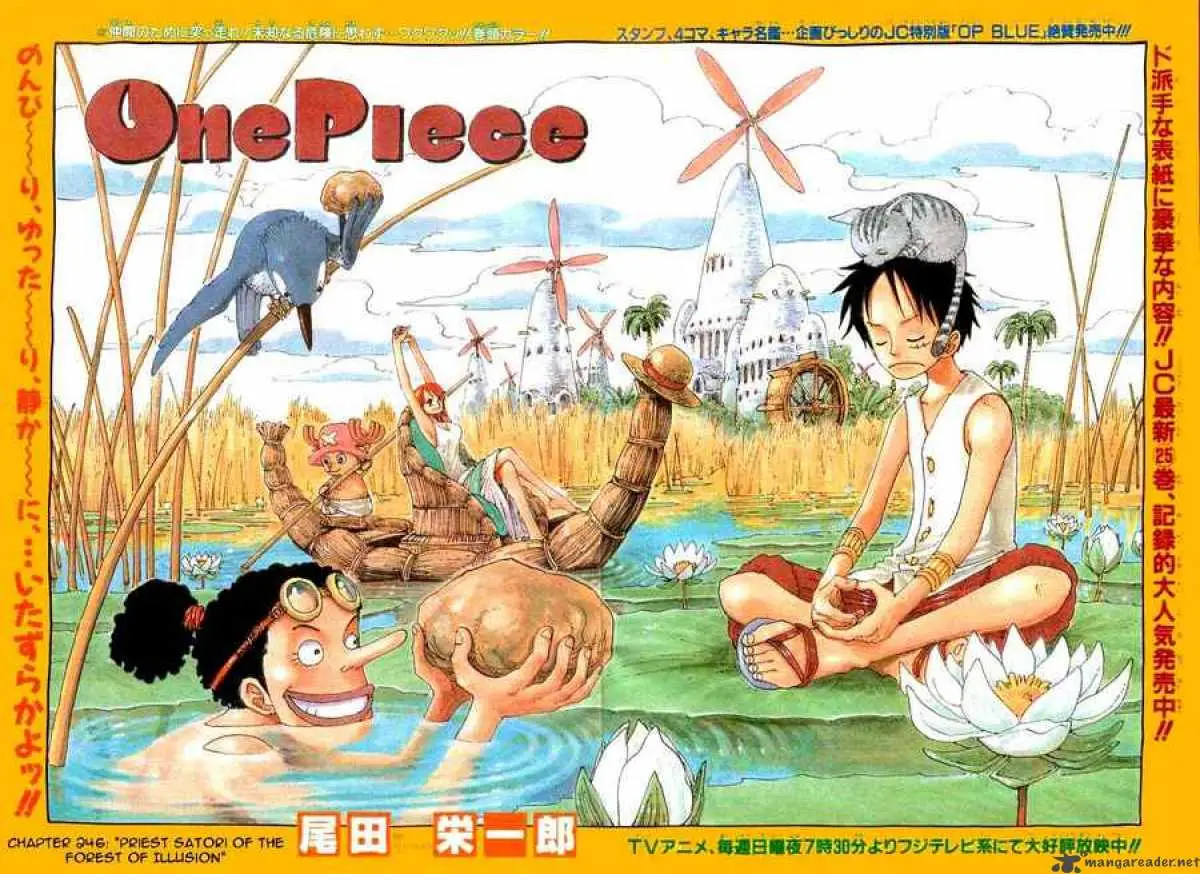 Chapter 246