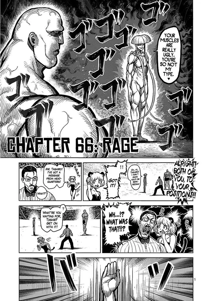 Chapter 66