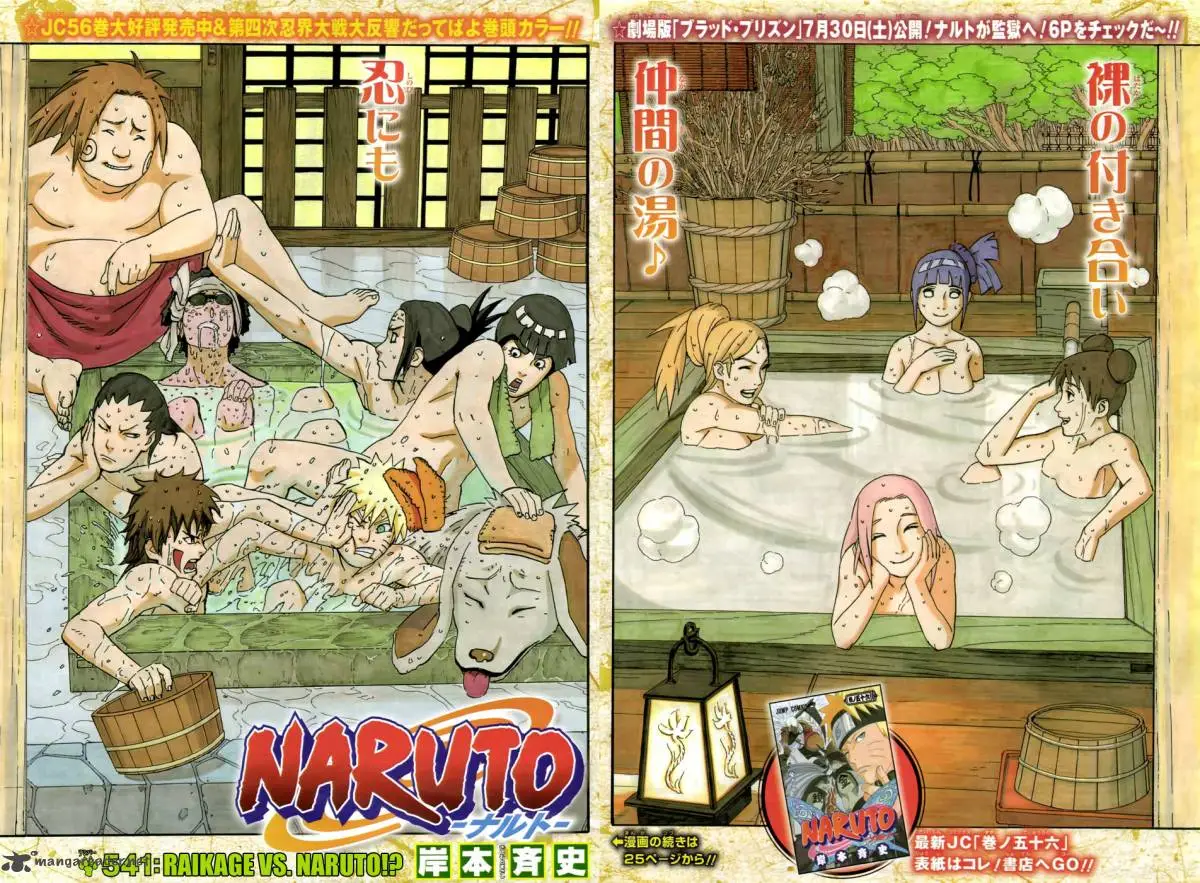 Chapter 541