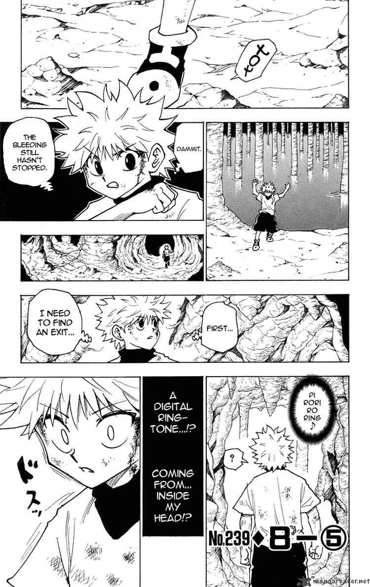 Chapter 239