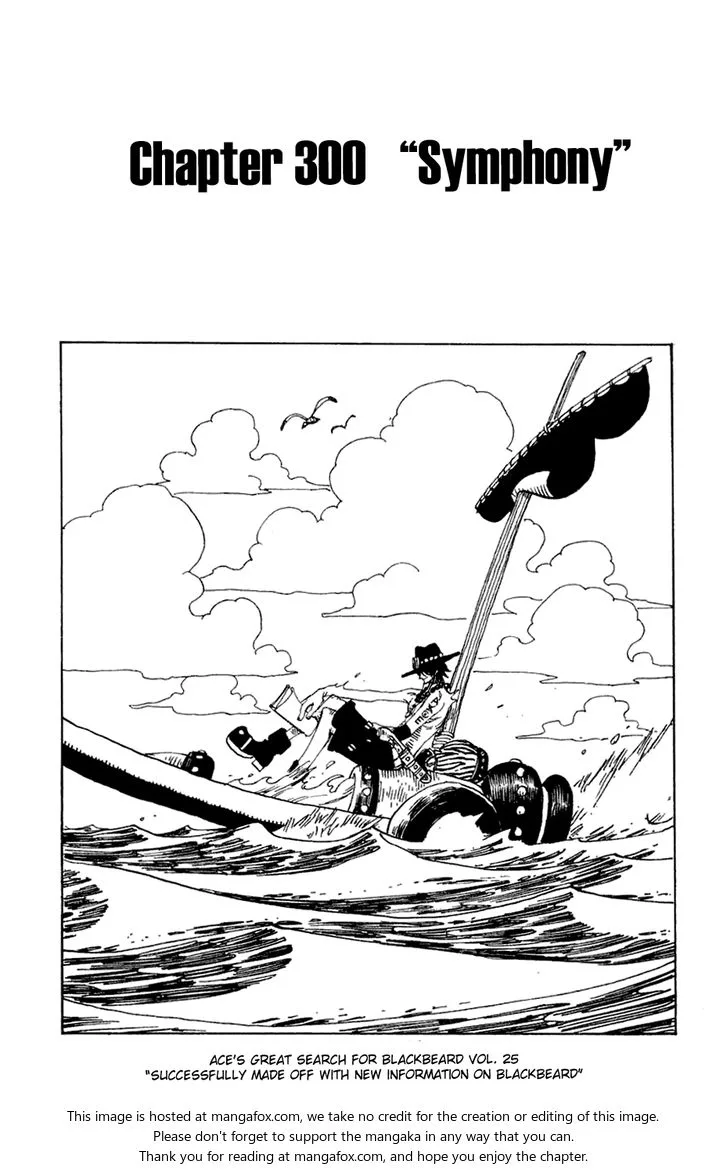 Chapter 300