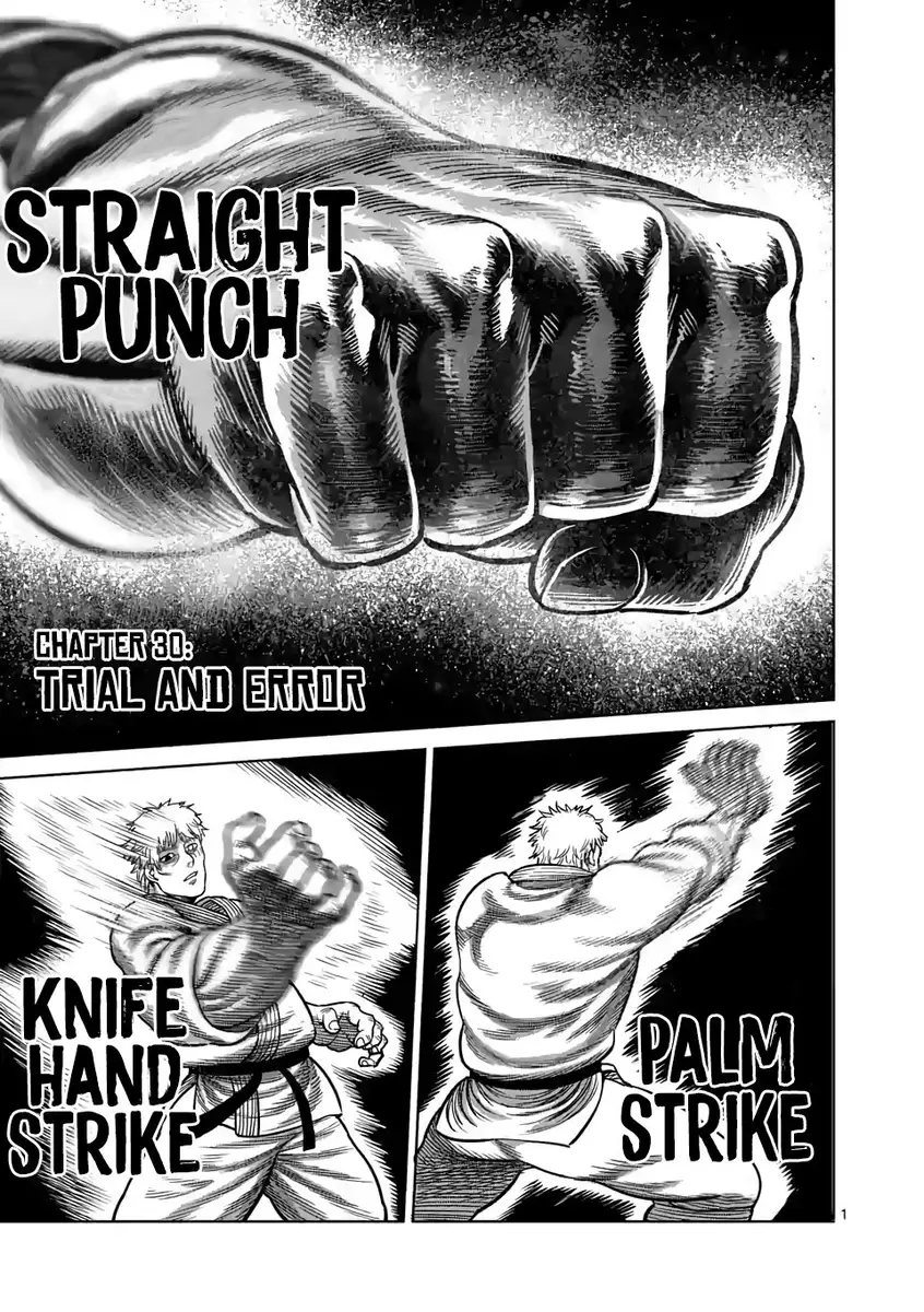 Chapter 30