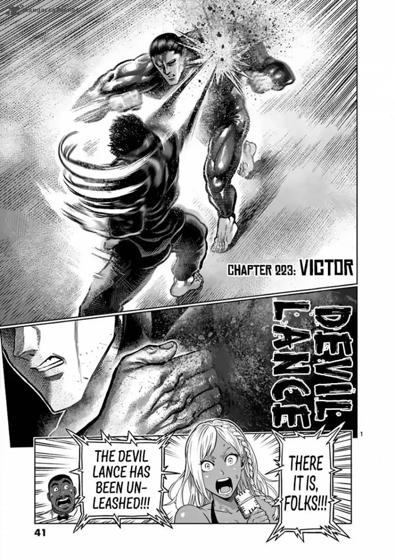 Chapter 223
