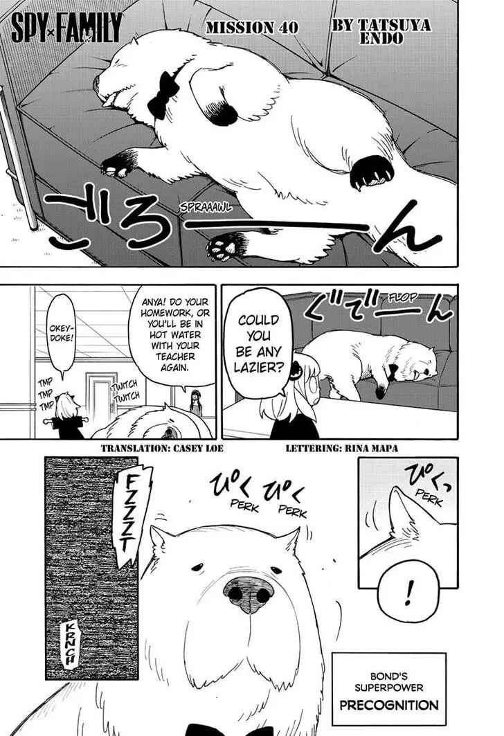 Chapter 40