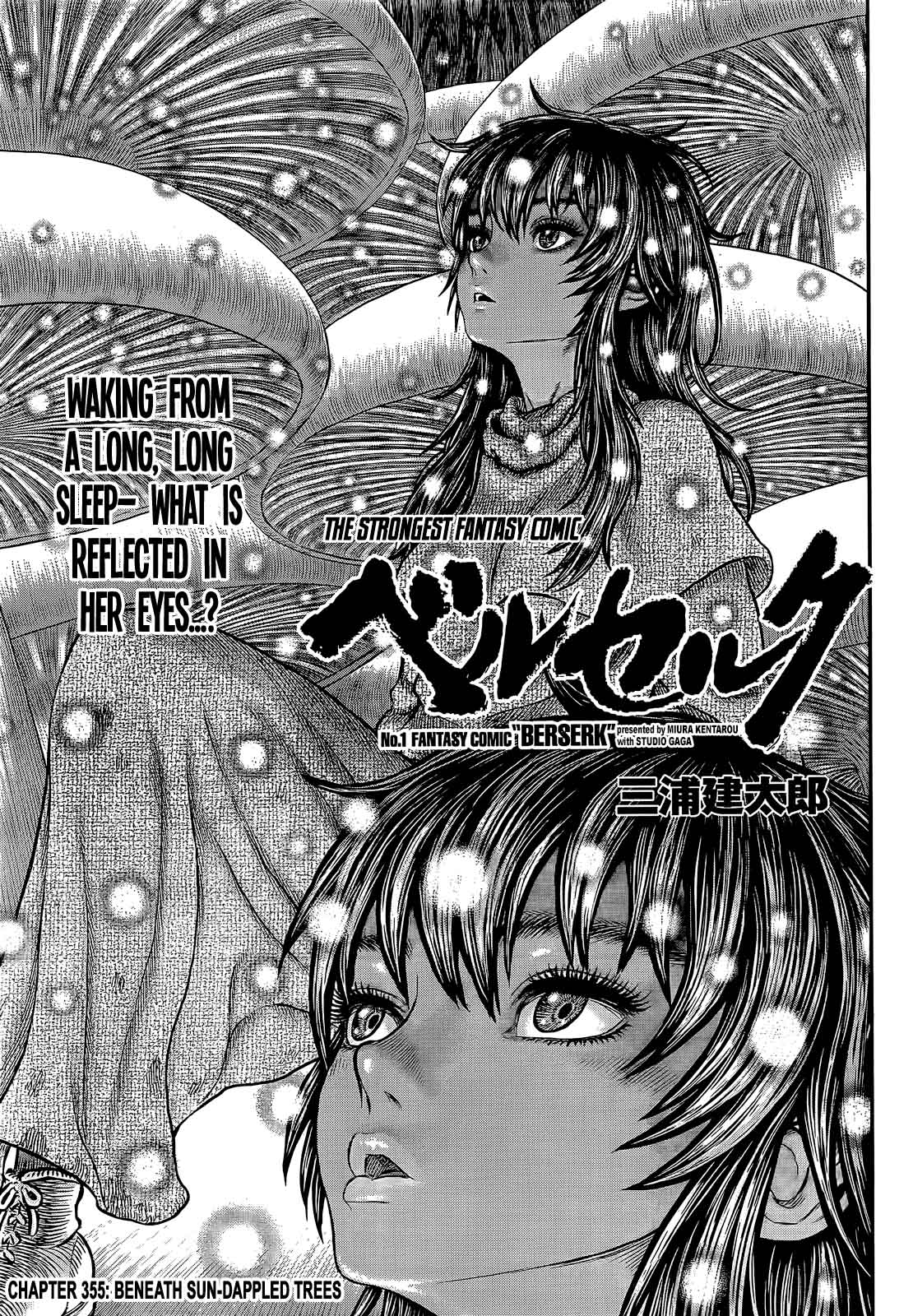 Chapter 355