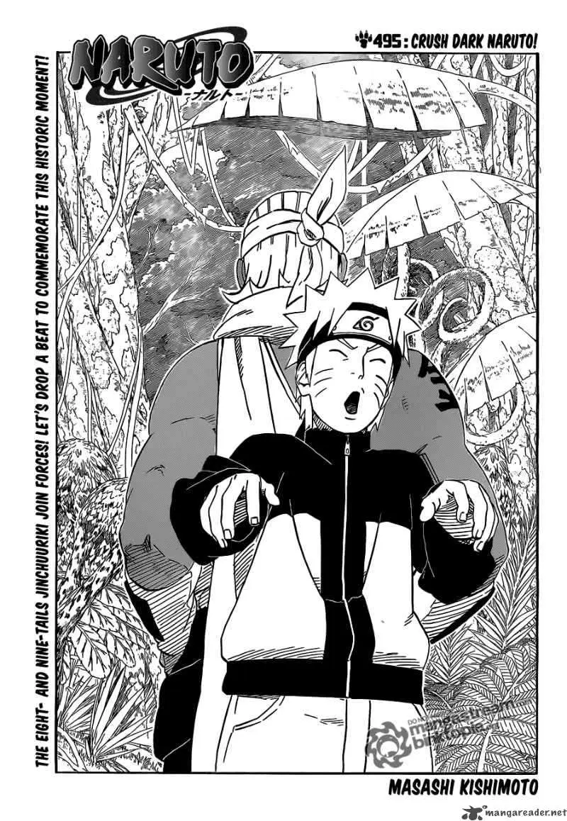 Chapter 495