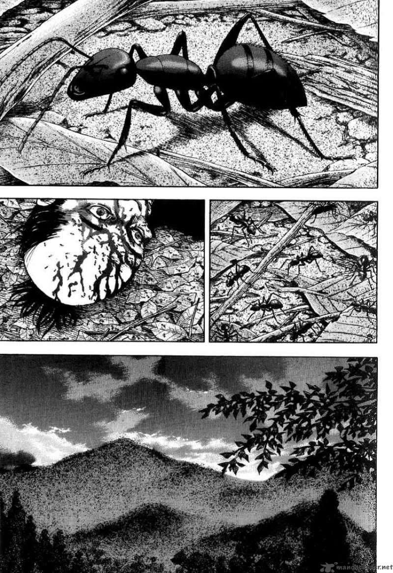 Chapter 14