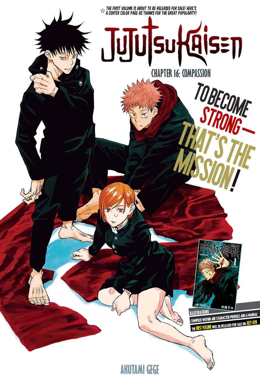 Chapter 16