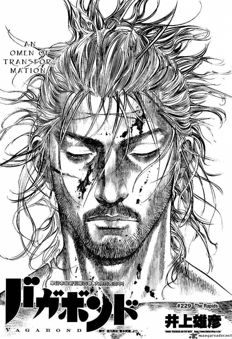 Chapter 229