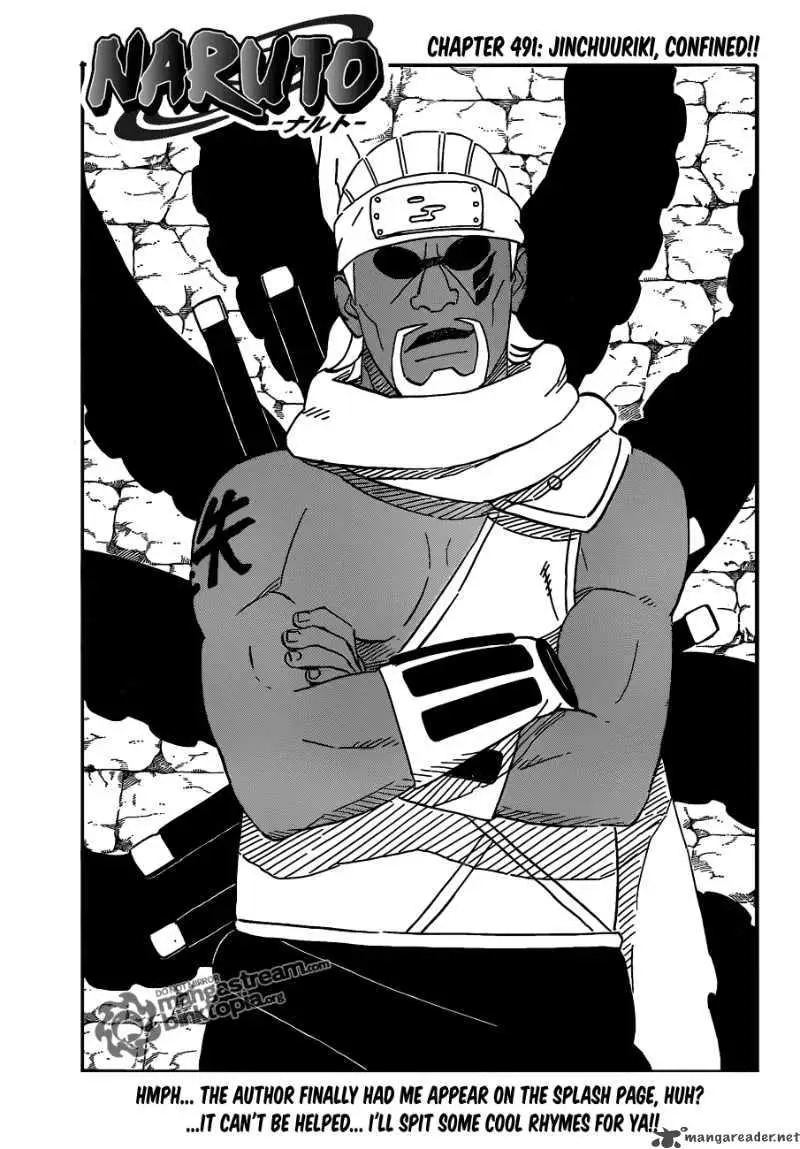 Chapter 491