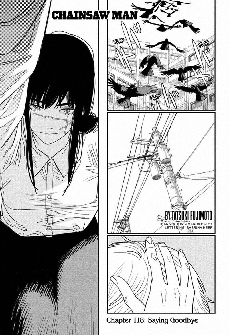 Chapter 118