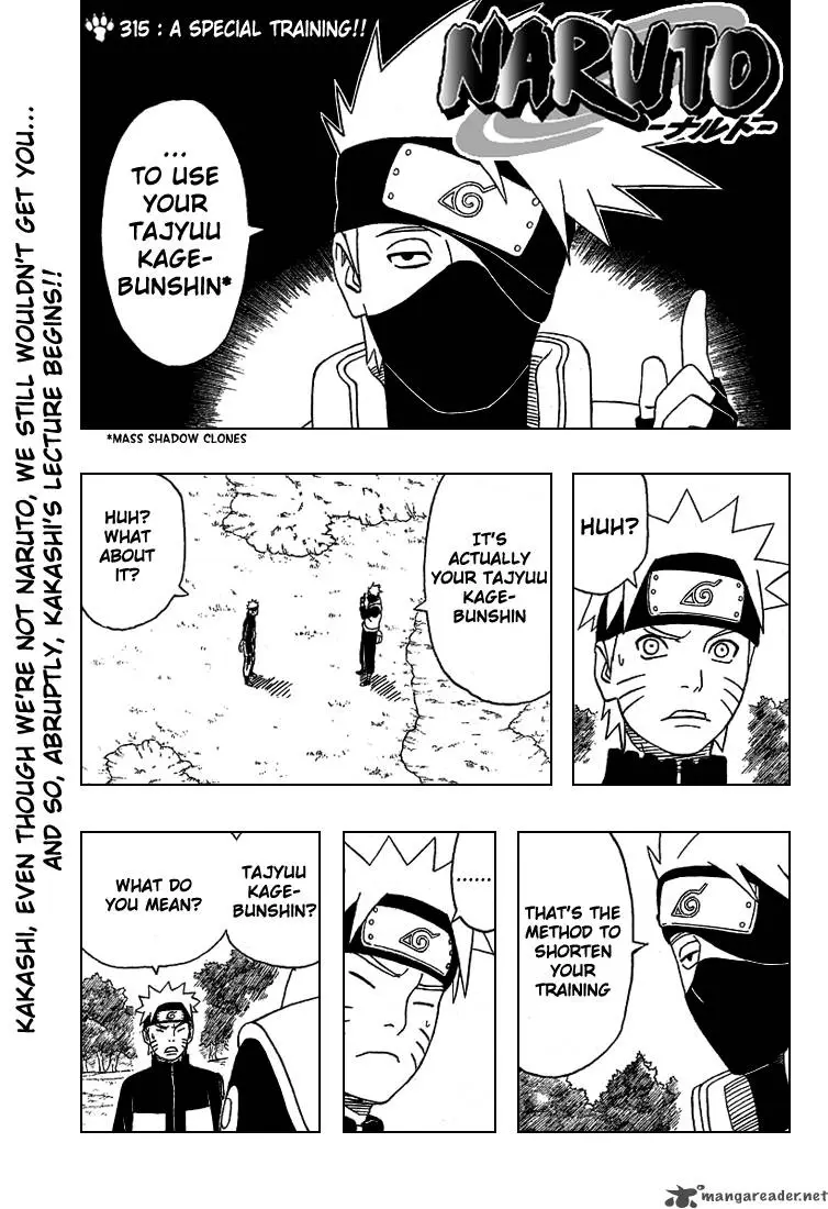 Chapter 315
