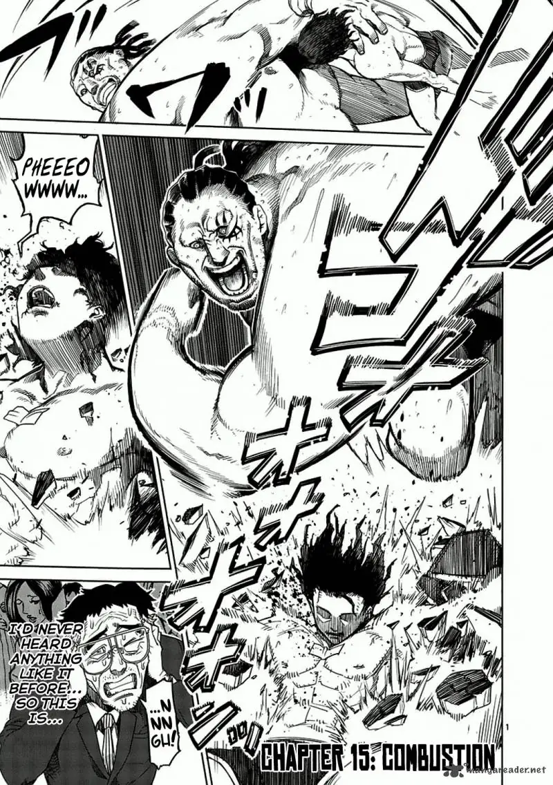 Chapter 15