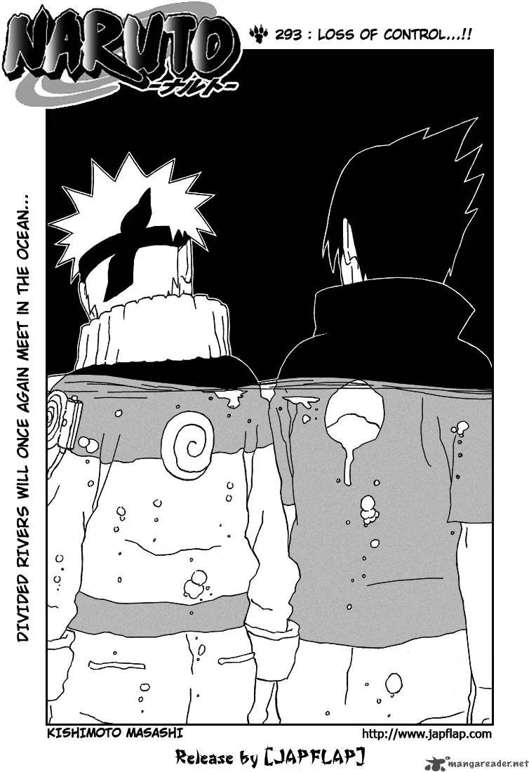 Chapter 293