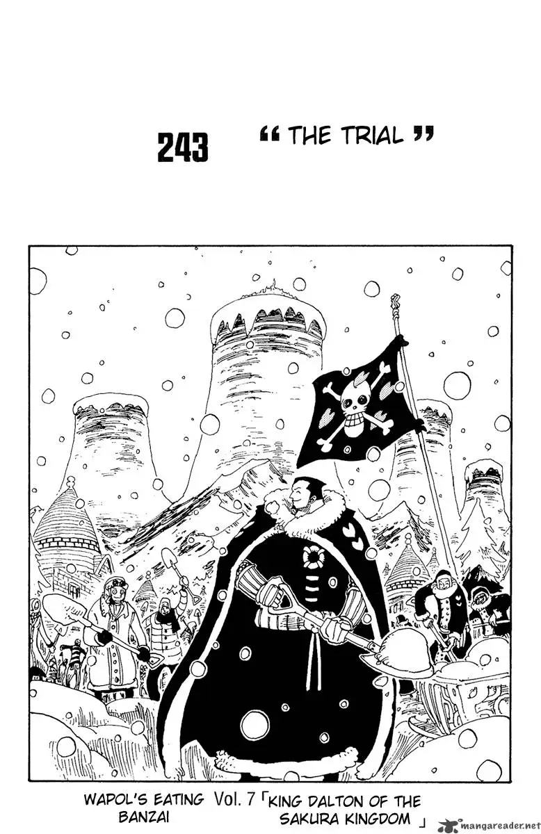 Chapter 243